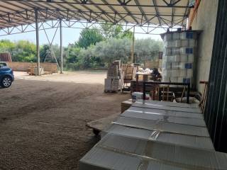 Zona