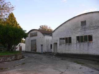 Zona
