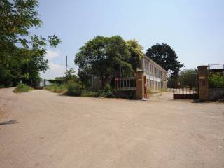 Ingresso