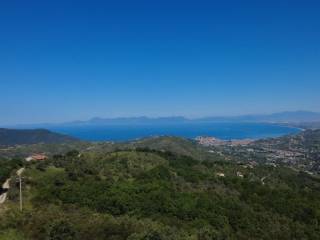 Vista