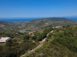 Vista
