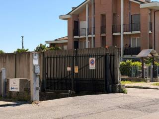 Ingresso