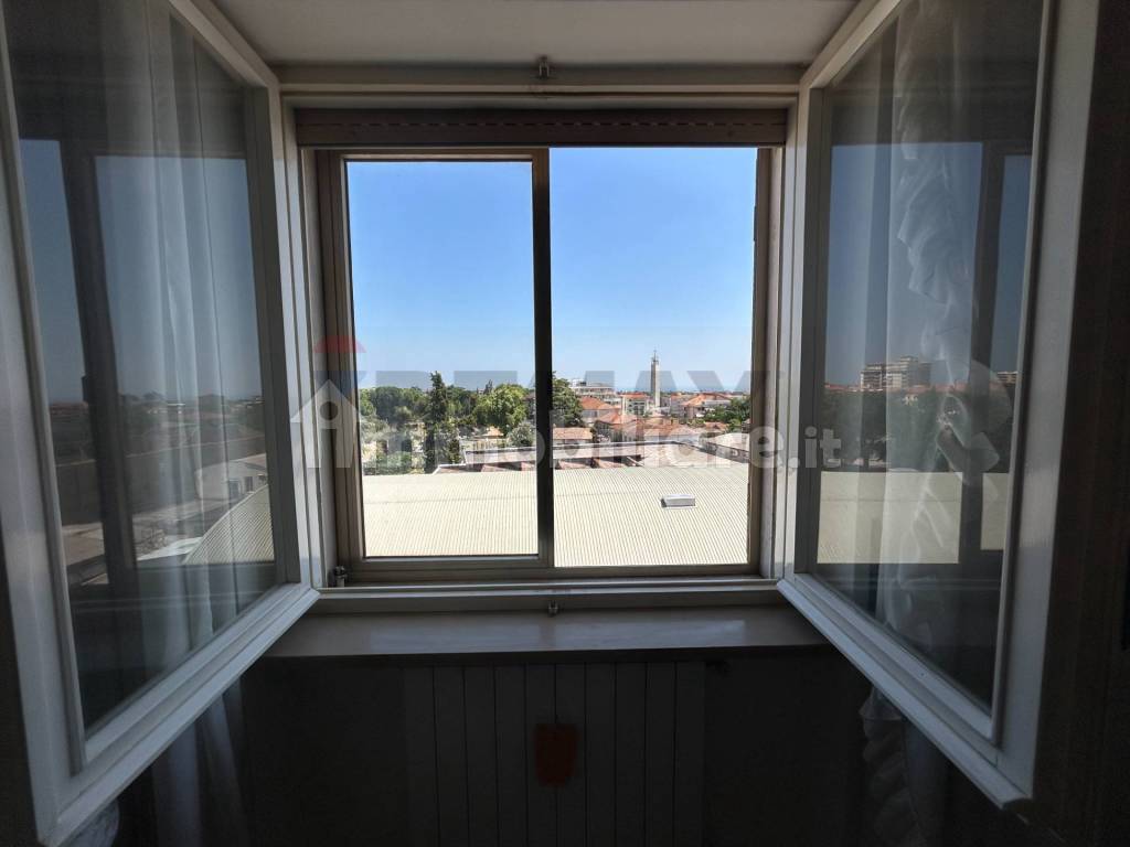 Vista