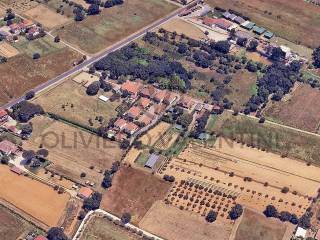 Zona