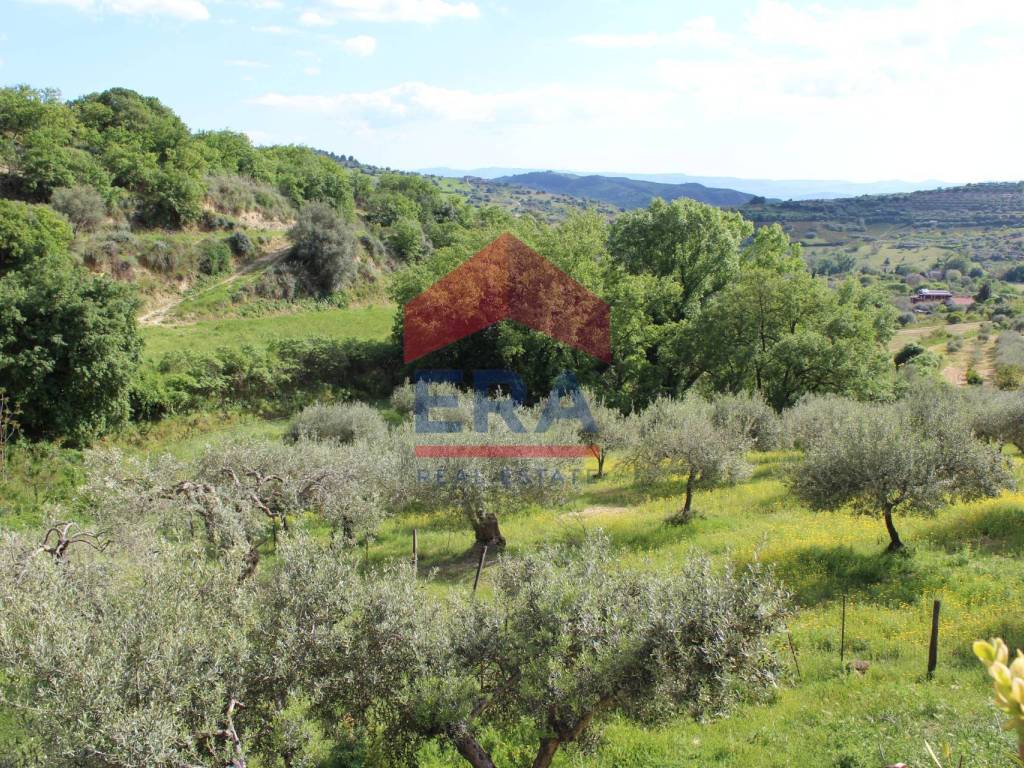 Terreno