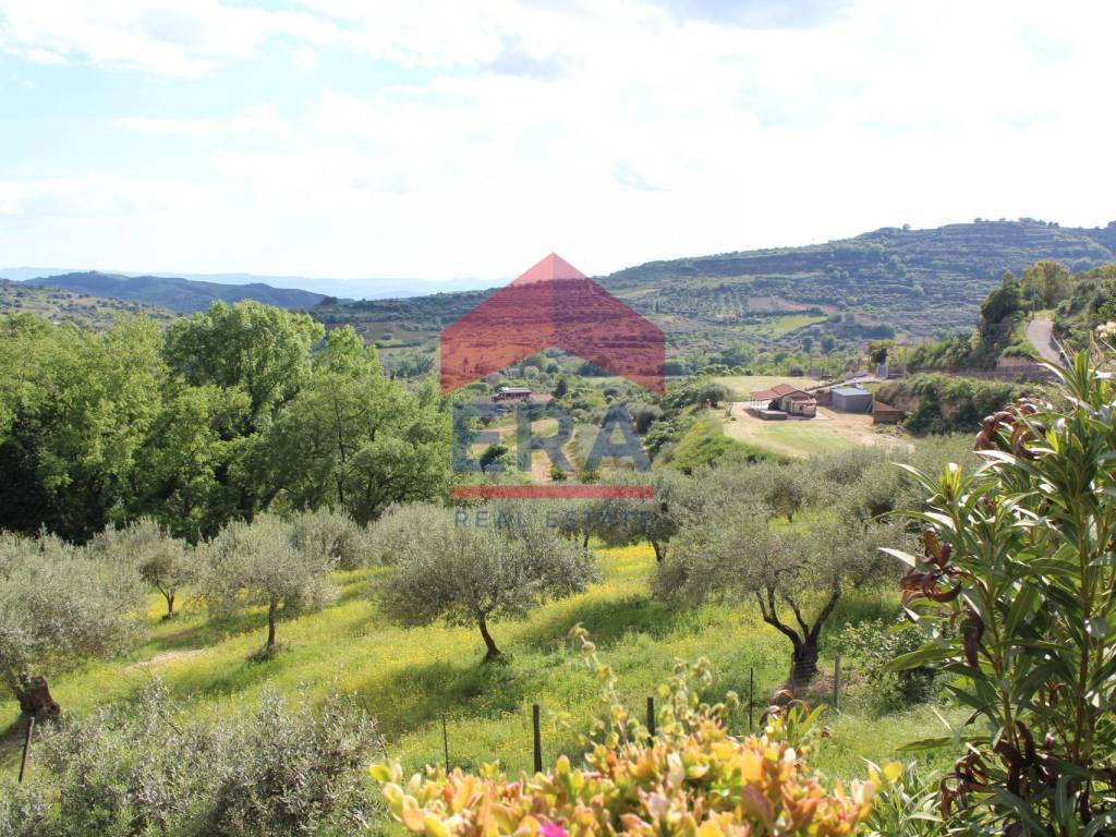 Vista