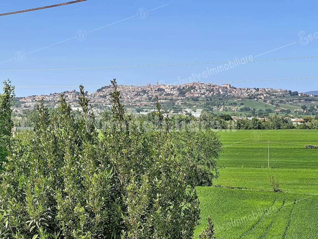 Vista