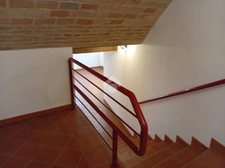 Scala