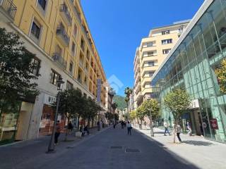Zona