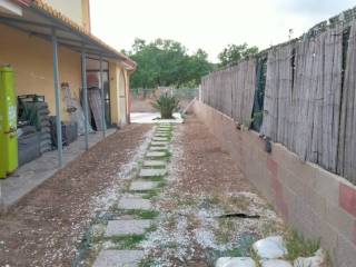 Zona