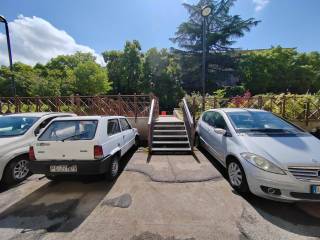 Zona