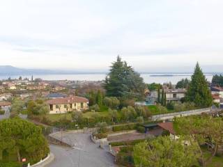 Vista