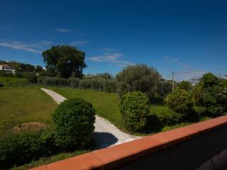 Vista