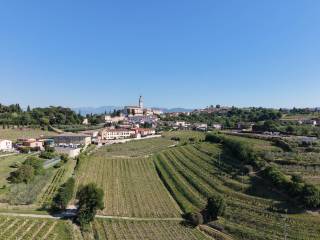 Vista