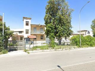 Zona