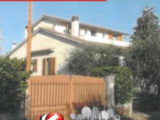 Zona