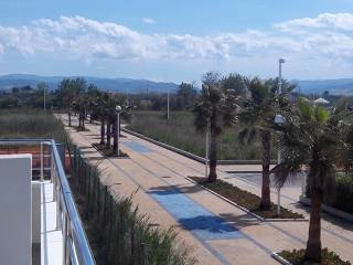 Vista