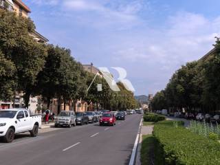 Zona
