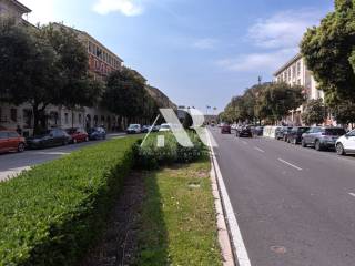 Zona