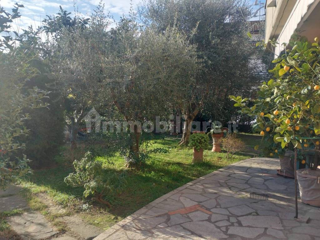 Giardino