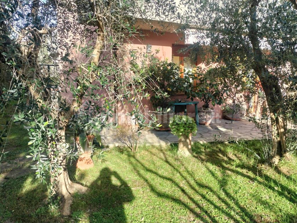 Giardino