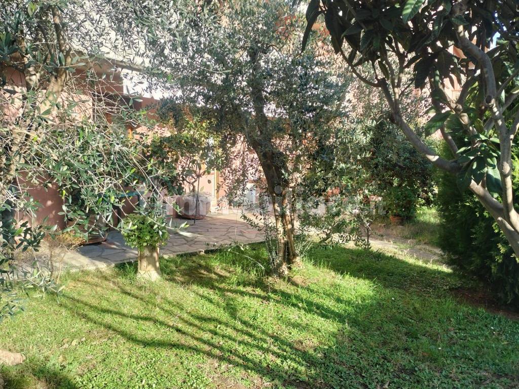 Giardino
