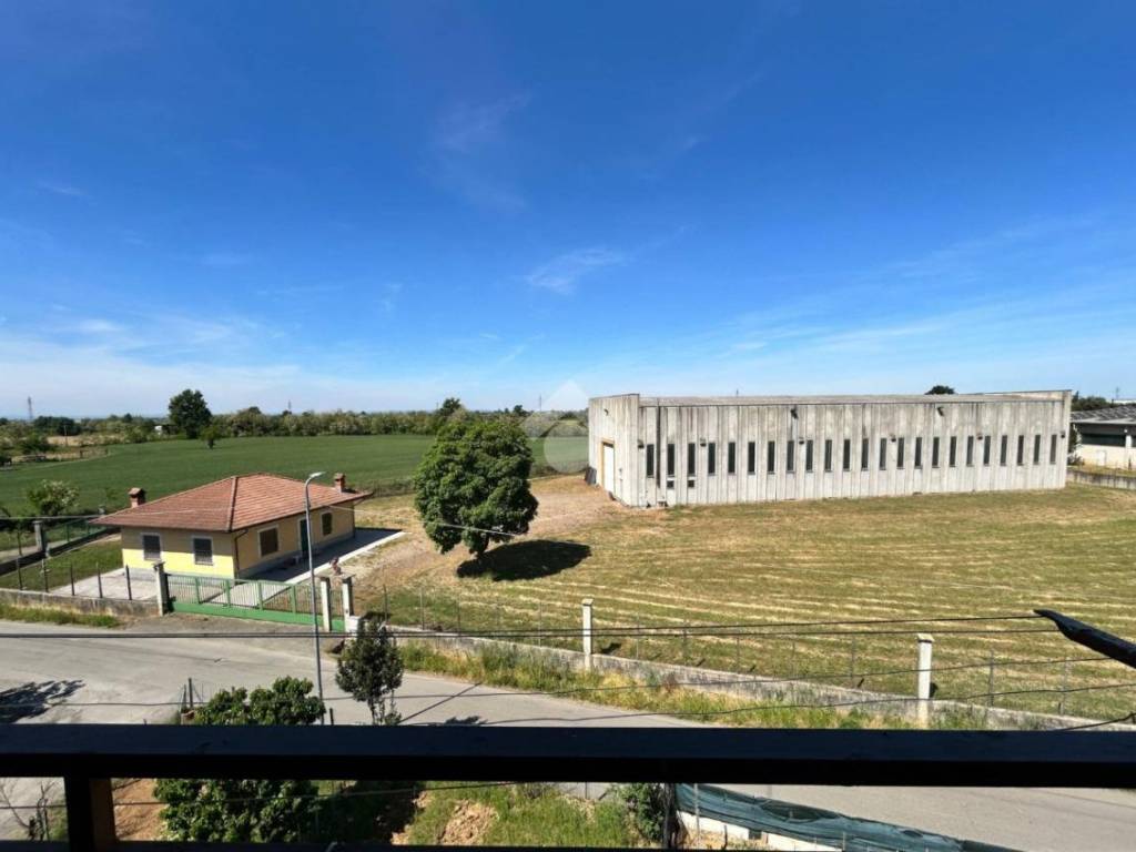 Vista