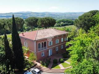 Vista