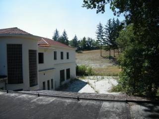 Vista