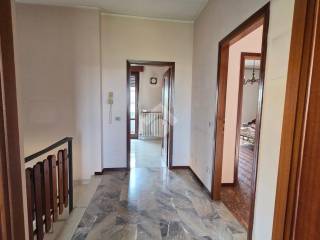 Ingresso
