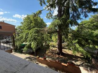 Vista