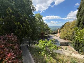 Vista