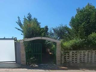 Zona