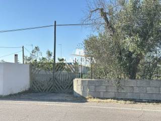 Zona