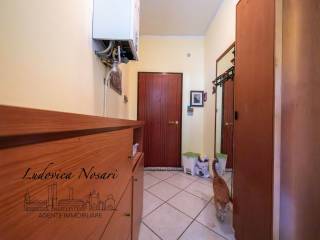 Ingresso