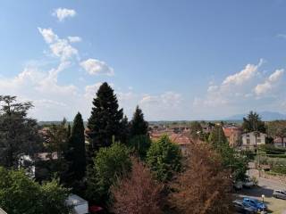 Vista