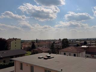 Vista