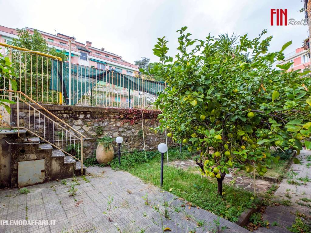 Giardino