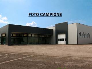 Zona