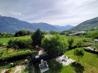 Vista