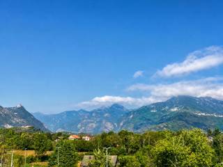 Vista