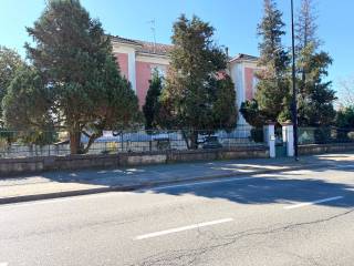 Zona