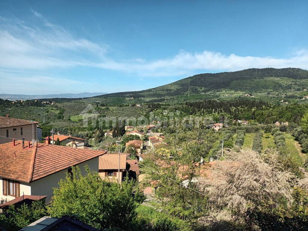 Vista