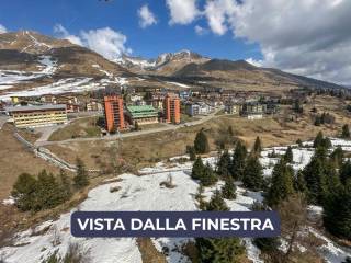 Vista