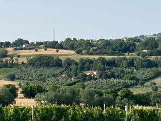 Vista