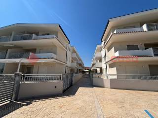 Zona
