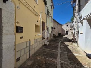 Zona