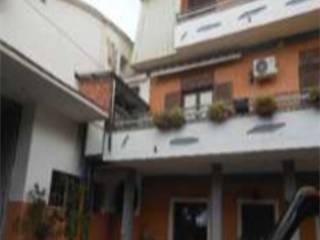Zona