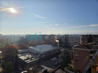 Vista