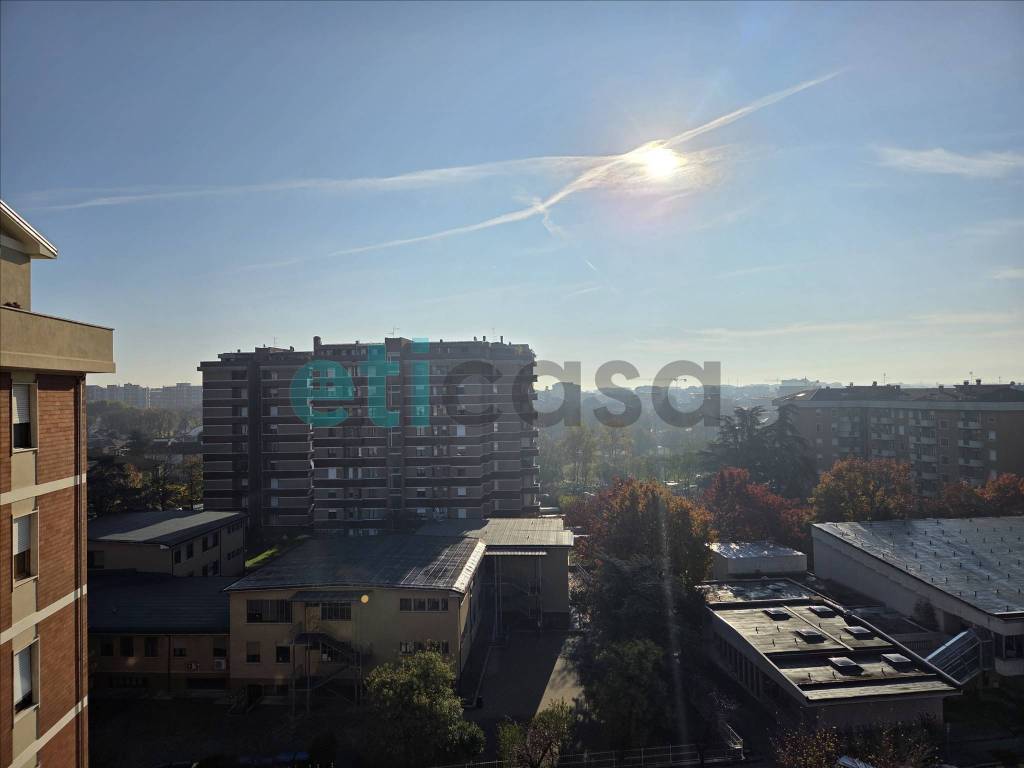 Vista